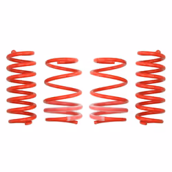 Kit de suspension, ressorts EIBACH E20-15-021-06-22