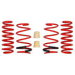 Kit de suspension, ressorts EIBACH E20-79-010-01-22