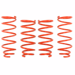 Kit de suspension, ressorts EIBACH E20-55-019-01-22