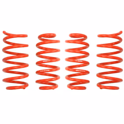 Kit de suspension, ressorts EIBACH E20-15-023-01-22