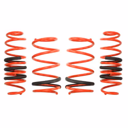 Kit de suspension, ressorts EIBACH E20-81-016-01-22