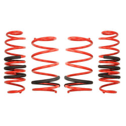 Kit de suspension, ressorts EIBACH E20-81-016-01-22