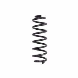 Ressort de suspension EIBACH R10385