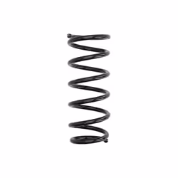 Ressort de suspension EIBACH R10956
