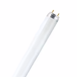 Osram L 36 W/77, 36 W, G13, 20000 h, 1400 lm