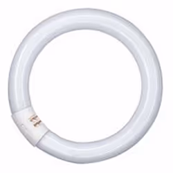 Osram LUMILUX T9 C, 40 W, G10q, Circulaire, 9000 h, 3200 lm, Blanc froid