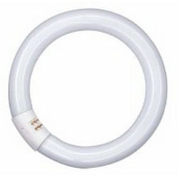 Osram LUMILUX T9 C ampoule fluorescente 40 W G10q Blanc froid