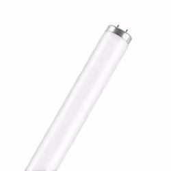 Osram SA-Type T12, 65 W, G13, T12, 7500 h, 4800 lm, Blanc froid