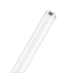 Osram SA-Type T12 ampoule fluorescente 65 W G13 Blanc froid