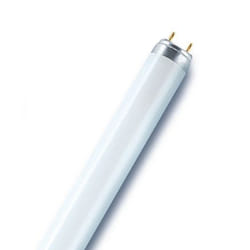 Osram Biolux T8 ampoule fluorescente 30 W G13