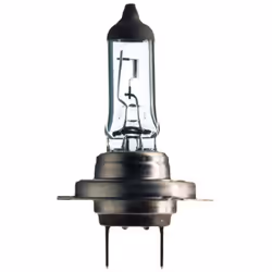 Ampoule halogène OSRAM H7 All Season 12V, 55W, 1 pièce