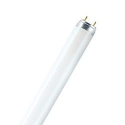 Osram LUMILUX T8 ampoule fluorescente 36 W G13 Blanc froid