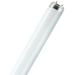 Osram L58W/865 ampoule fluorescente 58 W G13