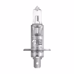 Osram 4050300925844, 70 V, 1 pièce(s)