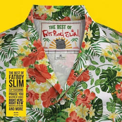 Disque vinyle - BMG - The Best of Fatboy Slim - Platine - Noir - 33 tours - Vintage