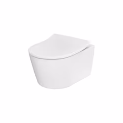 Toto RP 1 x siège WC adapté au RP WC Détails : amovible en un tour de main en utilisant le bouton de déverrouillage avec abai ...