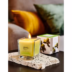 ipuro Lime light bougie en cire Carré Bergamote, Jasmin, Citronnelle, Muguet, Orange, Fleur d'oranger Citron vert 1 pièce(s)