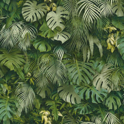 As Creation - Papier peint monstera jungle Tapisserie jungle Tropicale et exotique Papier peint intissé et embossé Idéal pour salon