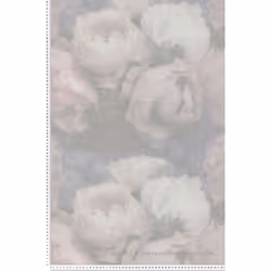 Papier Peint Romantic Dream