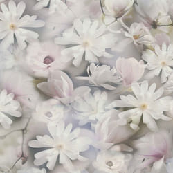 As Creation - Papier peint fleur aquarelle gris Tapisserie fleurs Fleuri vintage Papier peint intissé et embossé Idéal pour chambre