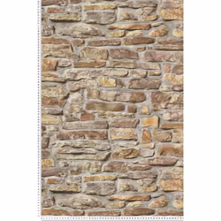 Ce modèle est un papier peint vinyle sur intissé (270 grammes/m2) de style motifs urbain|trompe l'oeil|industriel|métallisé|p ...