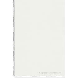 Papier peint The Wall 2 - AS-389033