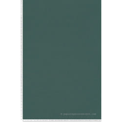 Papier peint Pintwalls 2 - AS-390984