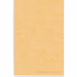 Ce modèle est un papier peint intissé (160 grammes/m2) de style faux unis enfantin. Il est lavable, strippable et bénéficie d ...