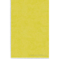 As Creation - Papier peint Lilly & Luis - AS-771793