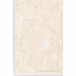 Ce modèle est un papier peint vinyle sur intissé (270 grammes/m2) de style faux unis urbain|industriel|métallisé|effets de ma ...