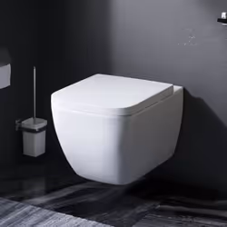 TOILETTES SANS REBORD : des toilettes sans rebord pour moins de saleté, de germes et de bactéries dans les toilettes et un ne ...