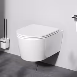 TOILETTE SANS BORD DE CHASSE : une toilette sans rebord pour moins de saleté, de germes et de bactéries dans les toilettes et ...