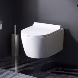 TOILETTE SANS BORD DE CHASSE : une toilette sans rebord pour moins de saleté, de germes et de bactéries dans les toilettes et ...