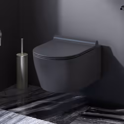 TOILETTE SANS BORD DE CHASSE : une toilette sans rebord pour moins de saleté, de germes et de bactéries dans les toilettes &  ...
