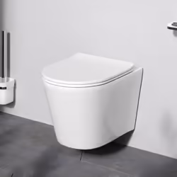 TOILETTE SANS BORD DE CHASSE : une toilette sans rebord pour moins de saleté, de germes et de bactéries dans les toilettes et ...