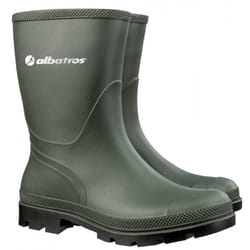 Albatros The Rancher Mâle Adulte Vert