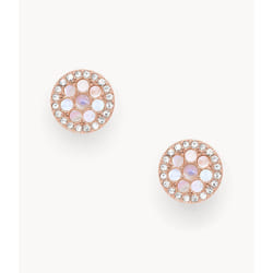 Fossil JF02906791 boucle d'oreille Acier inoxydable