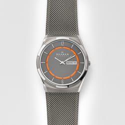 Skagen SKW6007P Montre bracelet Mâle Gris