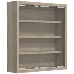 VCM Morgenthaler Agisa S, Verre, Gris, 2 portes(s), 3 étagères, 380 mm, 100 mm
