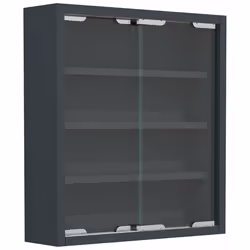 VCM Morgenthaler Agisa S, Anthracite, 2 portes(s), 3 étagères, 380 mm, 100 mm, 400 mm