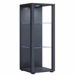 VCM Morgenthaler Glasol M, Bois, Bois, Anthracite, 2 étagères, Verre, 350 mm
