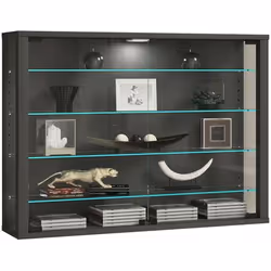 VCM Morgenthaler Vitrosa L Noir