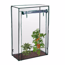 Dégustezdes salades de tomates de votre propre culture ! Cultivez cette plante qui aimela chaleur dans votre jardin grâce à l ...