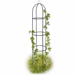 Description générale Cette arcade à rosiers en métal revêtu par poudre offre un support idéal pour les plantes grimpantes tou ...