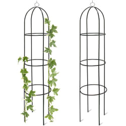 Relaxdays - Obélisque tuteur, lot de 2, plantes grimpantes, rosiers arcade, arceau roses, arche jardin, métal 190 cm, vert