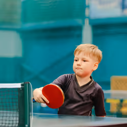 Relaxdays 10020145 table de tennis de table