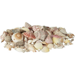 Relaxdays - Mélange de coquillages coquilles de mer 1kg filet décoration maritime, coloré