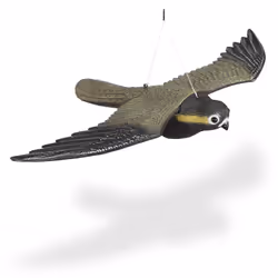 Votre jardin ne plait pas qu’à vous mais également aux autres oiseaux? Merles, moineaux, pigeons : beaucoup d’oiseaux aime dé ...