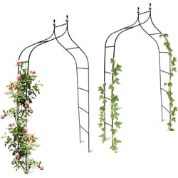 Relaxdays - Set de 2 arches à rosiers courbée avec pointe, métal 2,4 m, arceau de jardin, obélisque, tuteur plantes grimpantes, vert