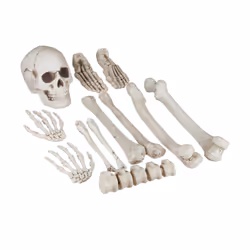 Relaxdays 10023868, Décoration, Polypropylène (PP), Blanc, Monochromatique, Halloween, Universel